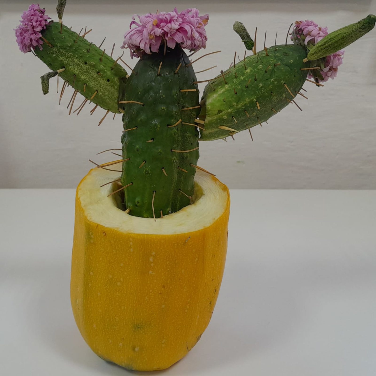 Светлана, средняя группа